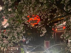 -大唐博相府酒店·陕西官府菜