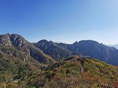-大岭沟猕猴桃谷风景区