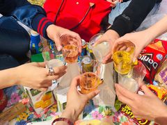 -天津武清北运河郊野公园房车露营地