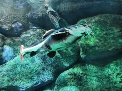 -福州罗源湾海洋世界旅游区