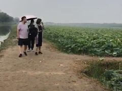 -西青郊野公园