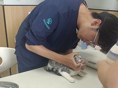 -瑞派长江宠物医院·猫科·外科·24小时夜护(谊城公寓分院)