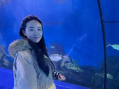 -重庆欢乐海底世界