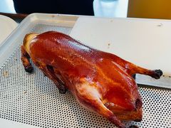 -四季京未(五羊新城店)