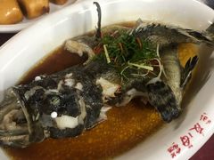 清蒸石斑鱼-渔友鲜海鲜加工(海鲜大世界店)