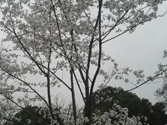 -堤角公园
