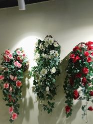 -变美丽半永久纹眉连锁·机器野生眉•洗眉