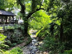 -众神白水涧景区