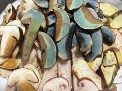 -菌之家·专业纯野生菌火锅·特色炒菌