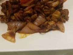 -宝燕壹号(徐汇店)