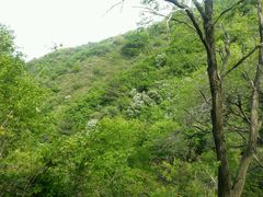 -阳台山自然风景区