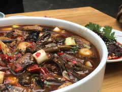 -院8里·小聚园老川菜(九眼桥店)