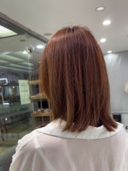 -镁连社·美联社