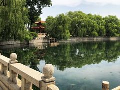 -百脉泉景区