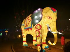 -南宫五洲植物乐园