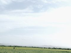 -坝上京北第一草原景区