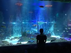 -沈阳海洋探索中心