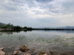-西昌邛海湿地
