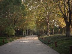 -济南植物园