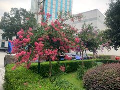 -南京双门楼宾馆(盐仓桥地铁站阅江楼店)