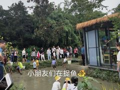 -洪湖家庭农场·团建·露营·会议