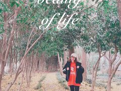 -上海银珠苑度假村-地面停车场