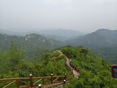 -大岭沟猕猴桃谷风景区