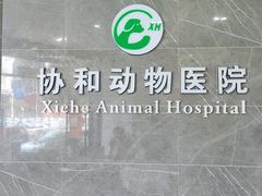 -瑞鹏瑞爱宠物医院·全科·猫科·血液透析中心(龙头寺店)