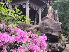 -凤栖山