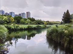 -四里河滨水生态公园