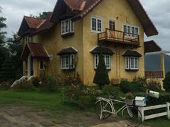 -黄色小屋