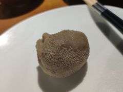 -蒙古苍狼蒙餐