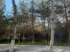 -长春世界雕塑园冰雪艺术天地