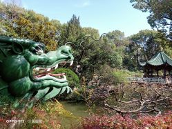 -丁香花园申粤轩·宴会厅
