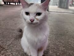 -双季花艺园艺市场(浦东店)