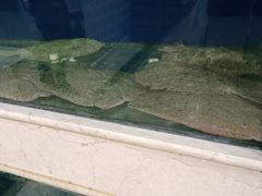 -红菜坊·烤鸭·川鲁宴(石园店)