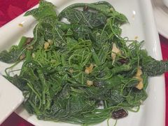 -正阳门饭庄·烤鸭·北京菜(万丰路七里庄店)