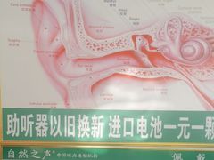 -自然之声助听器·呼吸机(保定清苑店)