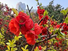 -元大都城垣遗址公园