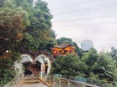 -巴倒烫陆派重庆火锅(南山店)