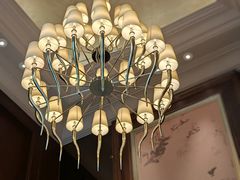 -东海朗廷酒店·廷廊 Palm Court
