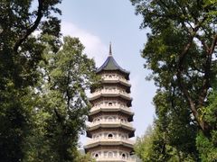 -灵谷景区