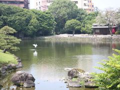 -水前寺成趣园