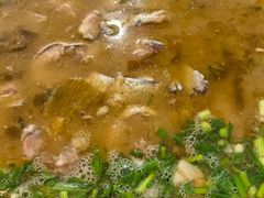 -胖大姐黄辣丁鱼庄(新津店)