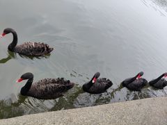 -东华大学(松江校区)