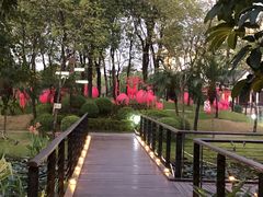 -映月湖公园