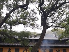 -普陀山风景名胜区-法雨禅寺