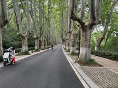 -灵谷景区