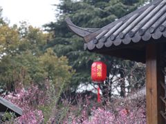 -无锡梅园公园