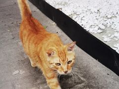 -半岛1919创意园区